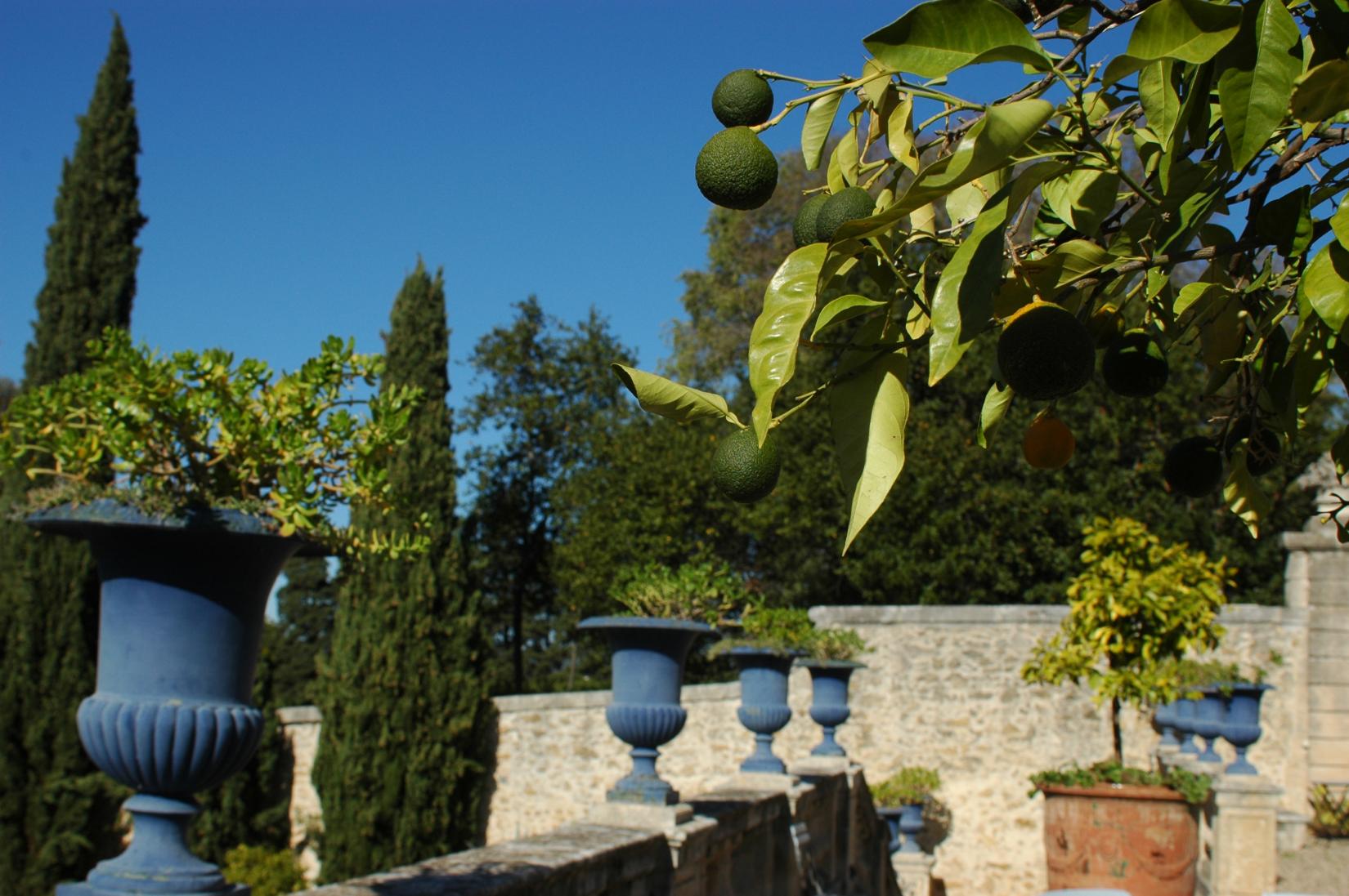 Parc et jardins du Château de Flaugergues