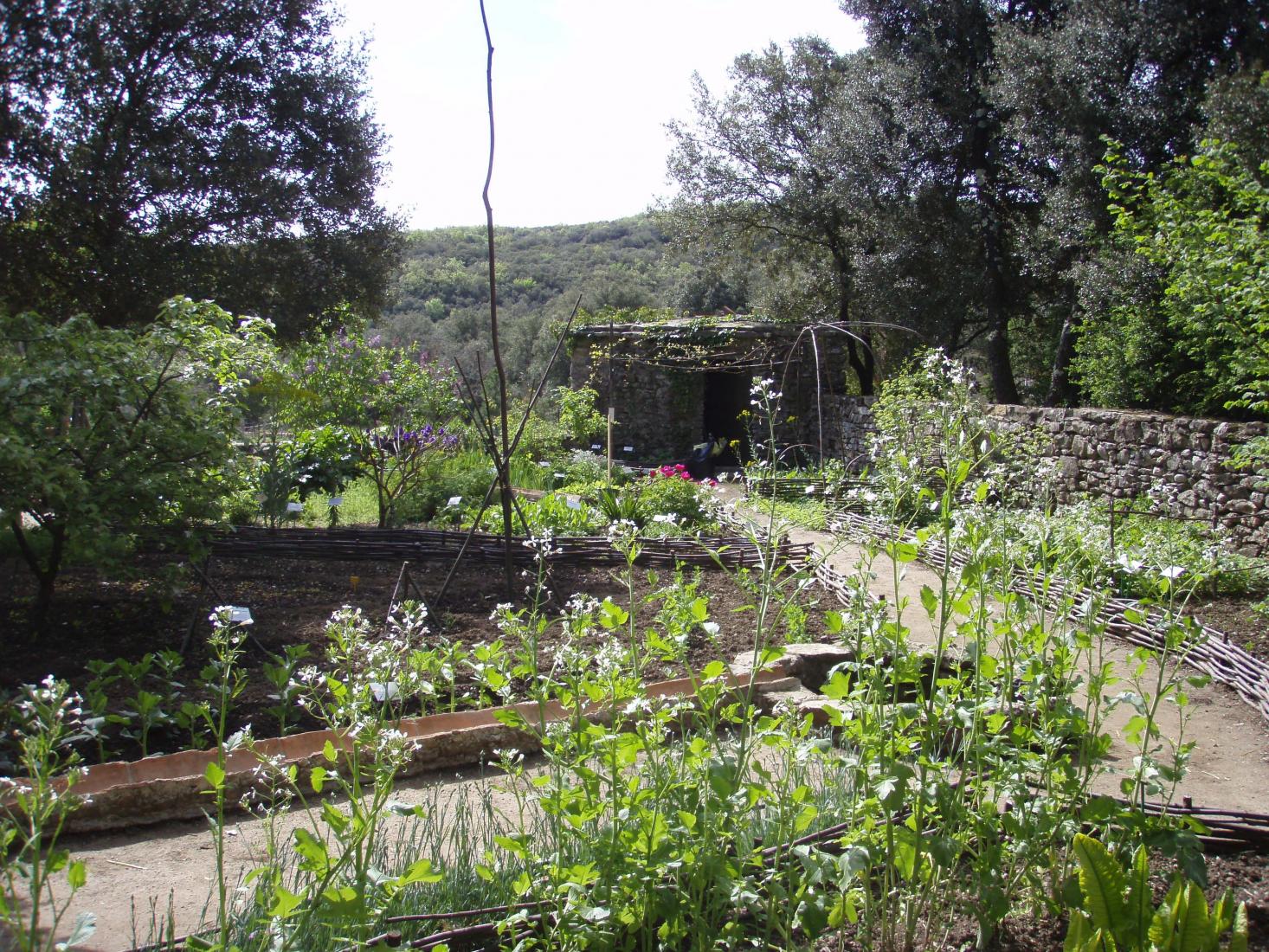 Jardins ethnobotaniques de La Gardie
