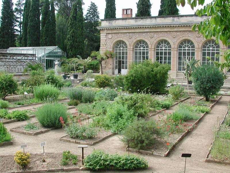 Jardin des Plantes