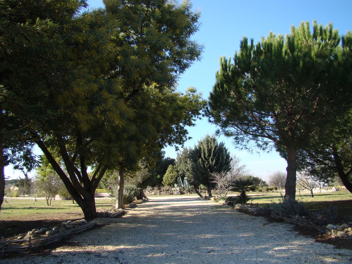 Arboretum de Canet-en-Roussillon