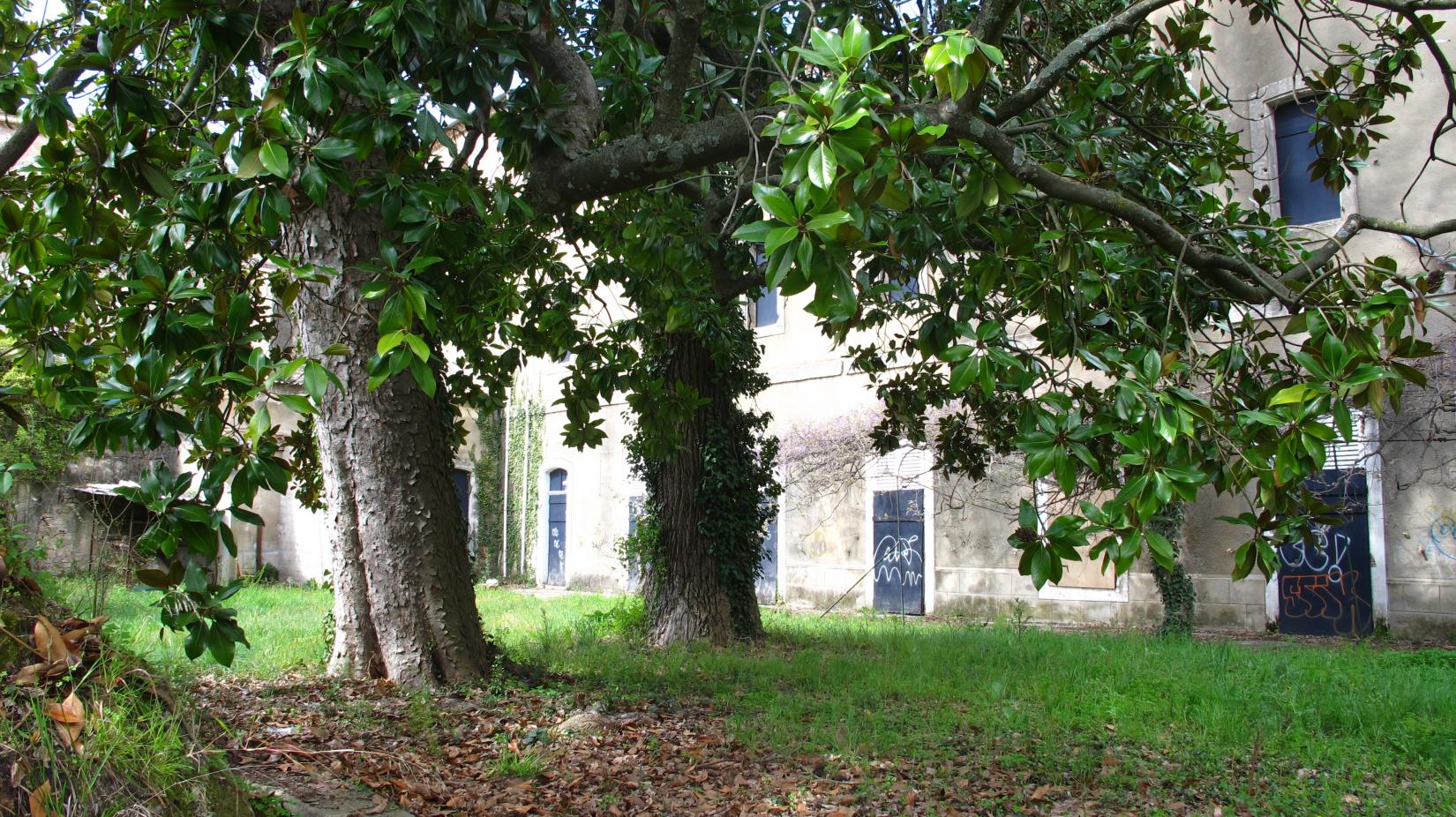 Jardin de l’Abbaye d’Aniane
